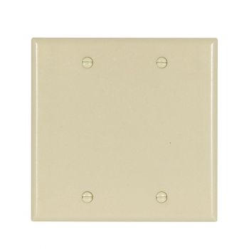 Eaton Standard 2-Gang Blank Wallplate, Ivory