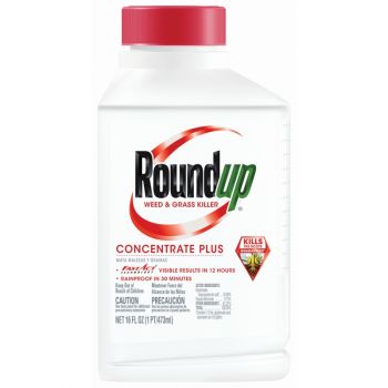 Roundup® Weed & Grass Killer Concentrate Plus, 16 Oz