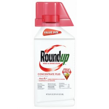 Roundup® Weed & Grass Killer Concentrate Plus, 36.8 Oz