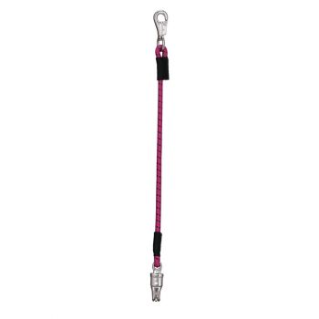 Bungee Trailer Tie, Pink Fusion
