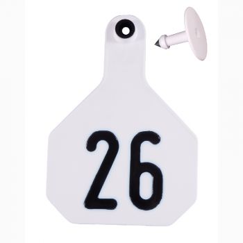 Y-Tex All American 4-Star Large Ear Tags #26-50, White, 2 Pc.