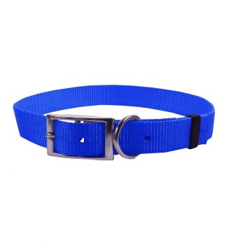 Single Ply Nylon Collar, 3/4"x12", Blue