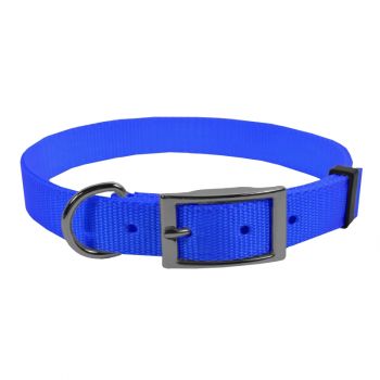 Extended D Nylon Collar, 18”, Blue