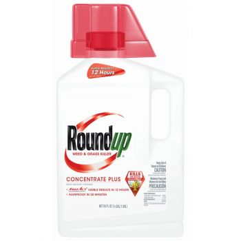 Roundup® Weed & Grass Killer Concentrate Plus, 1/2 Gal