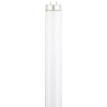 20 Watt T12 Linear Fluorescent Cool White with Medium BiPin Base 