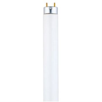 32 Watt T8 Linear Fluorescent Cool White with Medium BiPin Base 