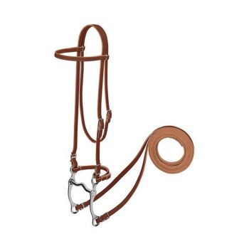 Harness Leather Browband Bridle with Single Cheek Buckle, Sunset, Pony