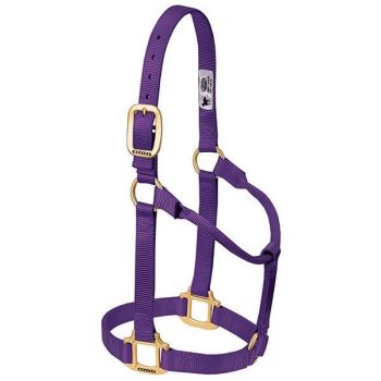 Original Non-Adjustable Nylon Horse Halter, Average, Purple