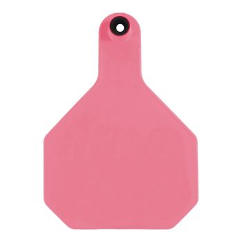 Y-Tex All American 4-Star Large Ear Tags Blank, Hot Pink, 2 Pc.