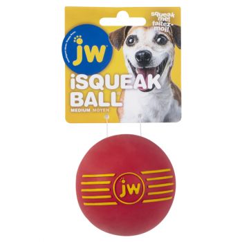 JW iSqeak Ball, Small