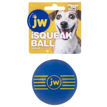 JW iSqeak Ball, Medium, Assorted Colors