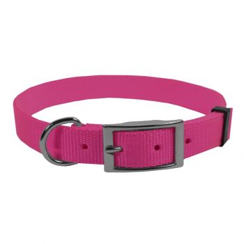 Extended D Nylon Collar, 16”, Hot Pink